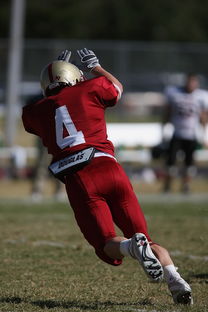 开云体育在线-中超球队重点对手研究频率分布，中超球队实力分析